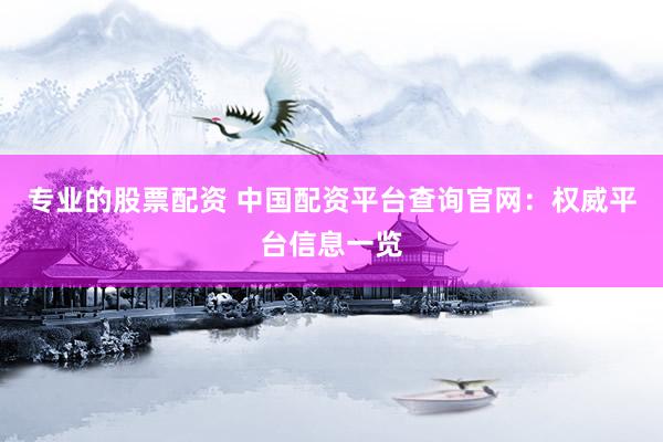 专业的股票配资 中国配资平台查询官网：权威平台信息一览