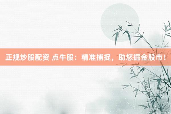 正规炒股配资 点牛股：精准捕捉，助您掘金股市！