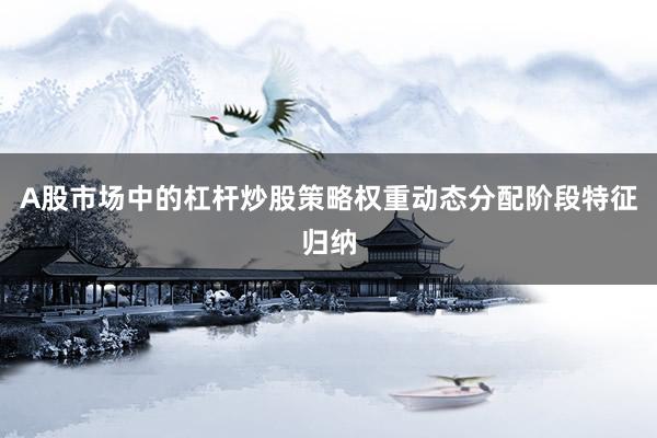A股市场中的杠杆炒股策略权重动态分配阶段特征归纳