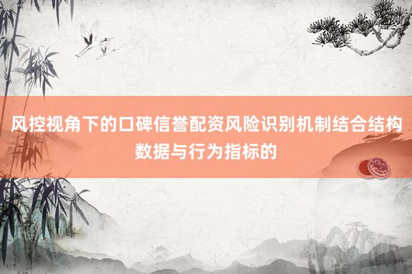 风控视角下的口碑信誉配资风险识别机制结合结构数据与行为指标的