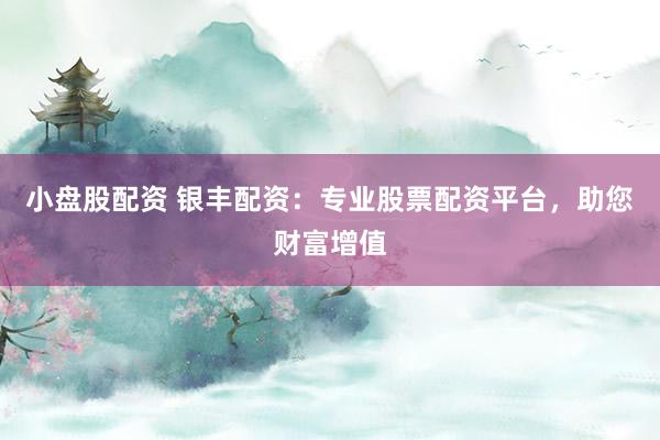 小盘股配资 银丰配资：专业股票配资平台，助您财富增值